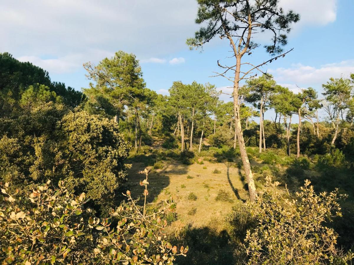 Maison Des Dunes, A 100M De La Mer Saint-Hilaire-de-Riez Dış mekan fotoğraf